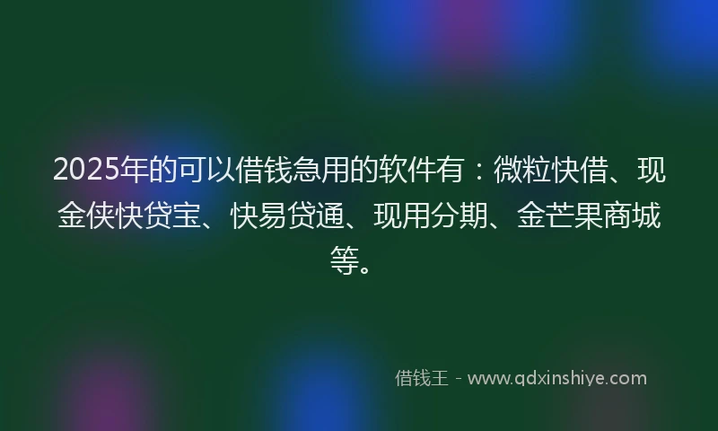 2025年的可以借钱急用的软件有：微粒快借、现金侠快贷宝、快易贷通、现用分期、金芒果商城等。