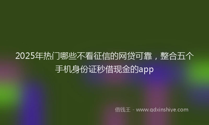 2025年热门哪些不看征信的网贷可靠，整合五个手机身份证秒借现金的app