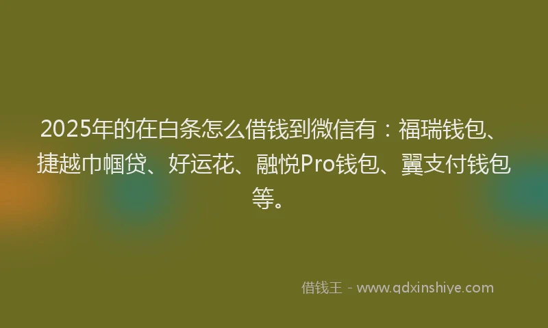 2025年的在白条怎么借钱到微信有：福瑞钱包、捷越巾帼贷、好运花、融悦Pro钱包、翼支付钱包等。