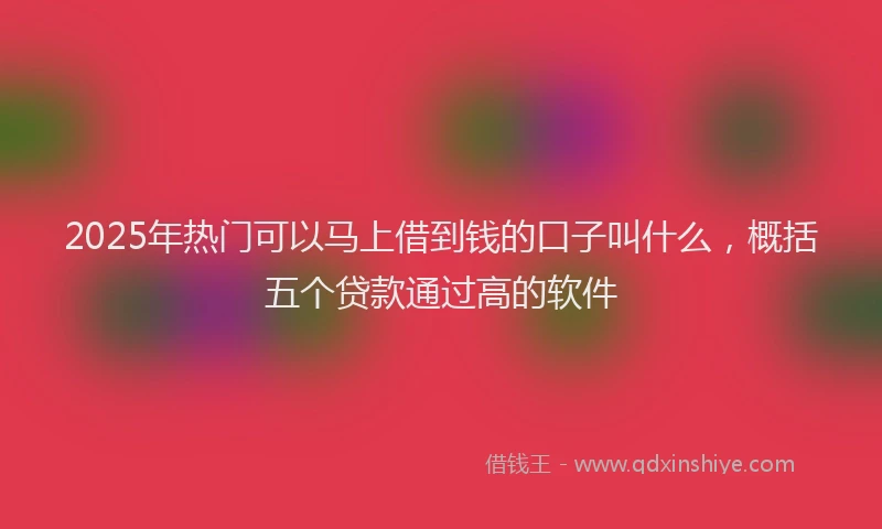 2025年热门可以马上借到钱的口子叫什么，概括五个贷款通过高的软件