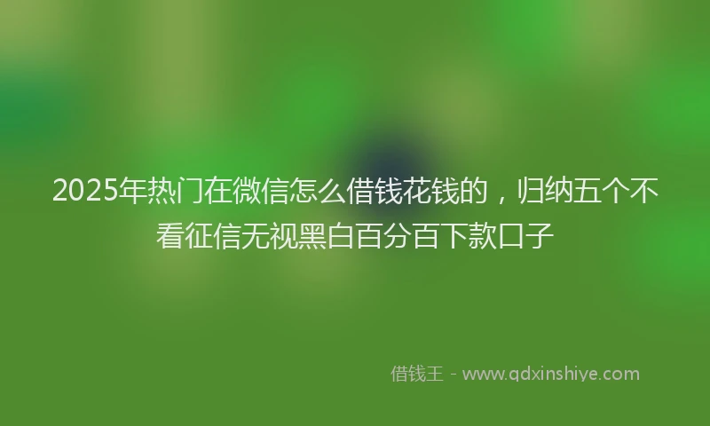 2025年热门在微信怎么借钱花钱的，归纳五个不看征信无视黑白百分百下款口子