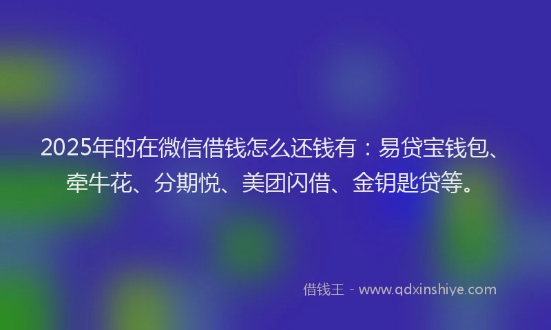 2025年的在微信借钱怎么还钱有：易贷宝钱包、牵牛花、分期悦、美团闪借、金钥匙贷等。