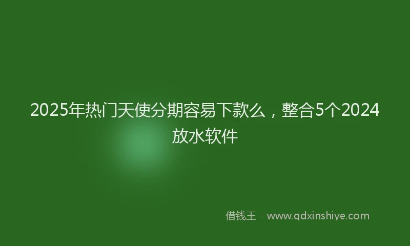 2025年热门天使分期容易下款么，整合5个2024放水软件