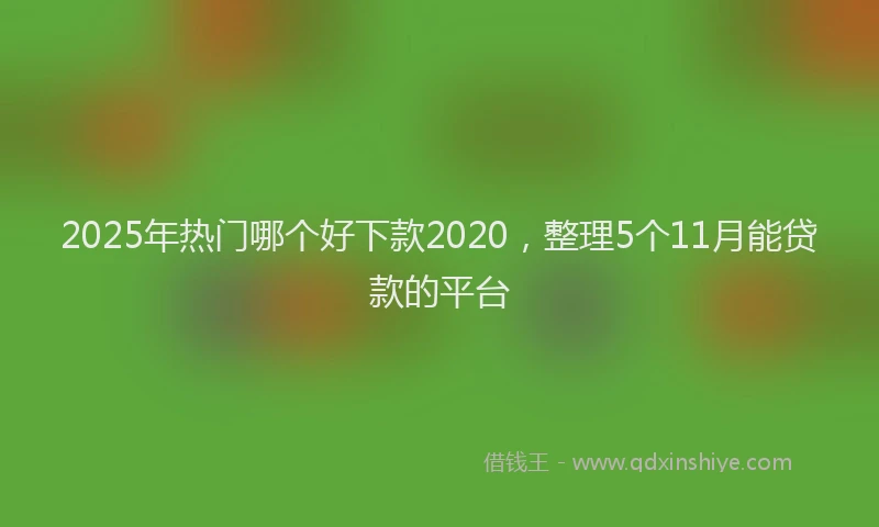 2025年热门哪个好下款2020，整理5个11月能贷款的平台