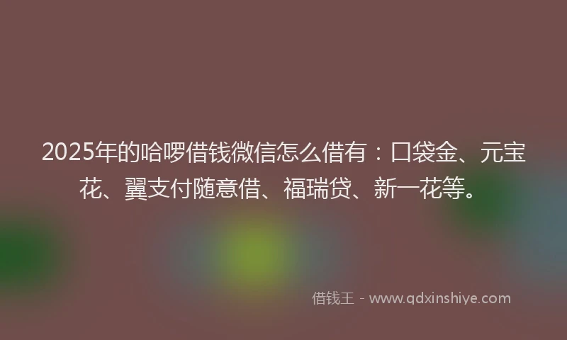 2025年的哈啰借钱微信怎么借有：口袋金、元宝花、翼支付随意借、福瑞贷、新一花等。