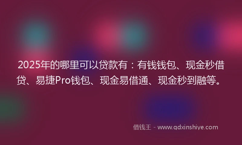 2025年的哪里可以贷款有：有钱钱包、现金秒借贷、易捷Pro钱包、现金易借通、现金秒到融等。