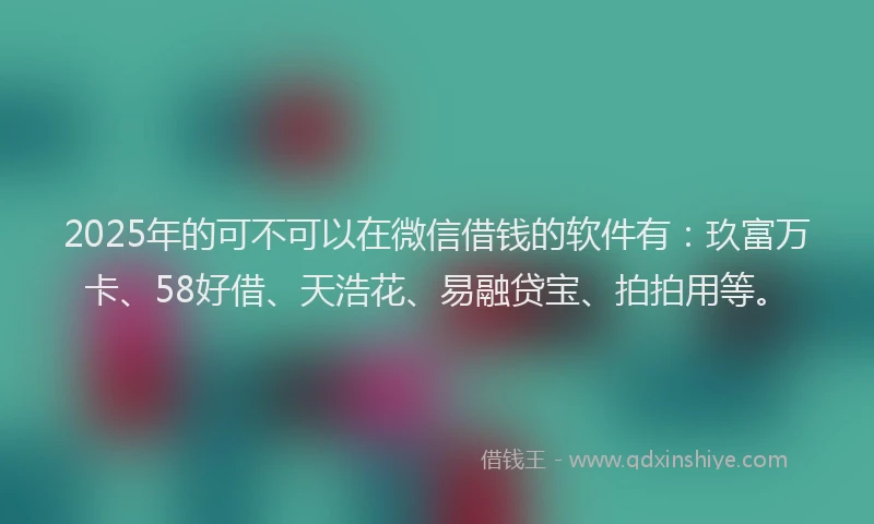 2025年的可不可以在微信借钱的软件有：玖富万卡、58好借、天浩花、易融贷宝、拍拍用等。