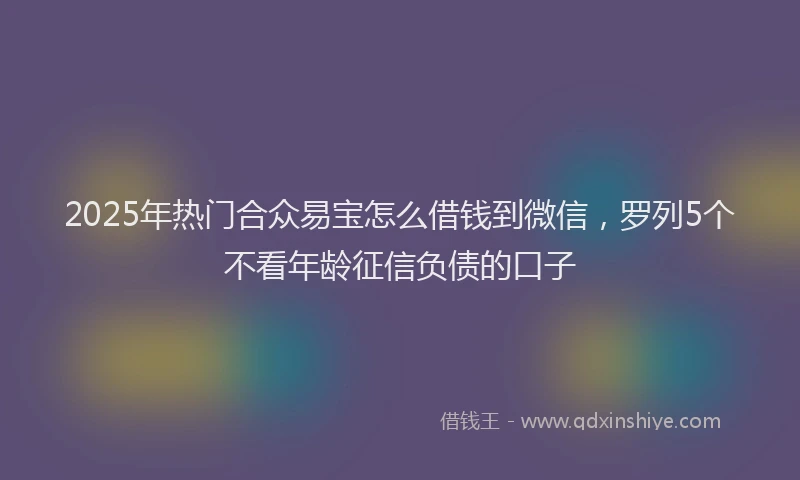 2025年热门合众易宝怎么借钱到微信，罗列5个不看年龄征信负债的口子