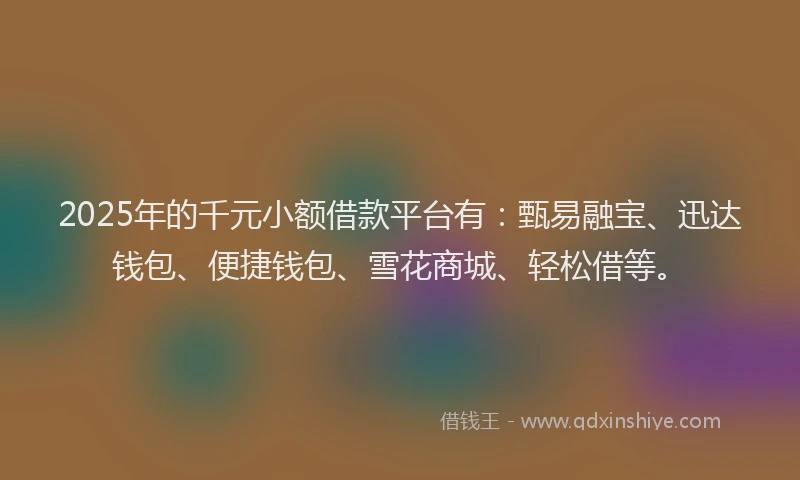 2025年的千元小额借款平台有：甄易融宝、迅达钱包、便捷钱包、雪花商城、轻松借等。