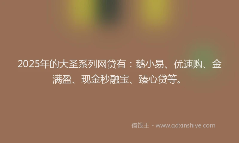2025年的大圣系列网贷有：鹅小易、优速购、金满盈、现金秒融宝、臻心贷等。