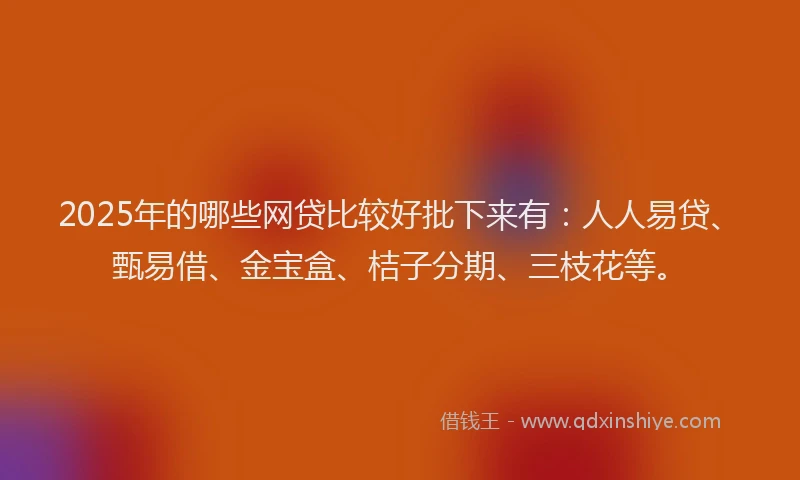 2025年的哪些网贷比较好批下来有：人人易贷、甄易借、金宝盒、桔子分期、三枝花等。
