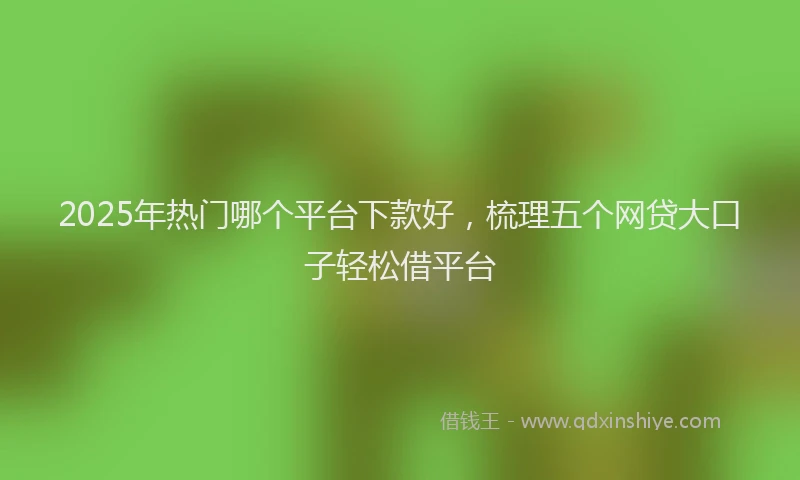 2025年热门哪个平台下款好，梳理五个网贷大口子轻松借平台
