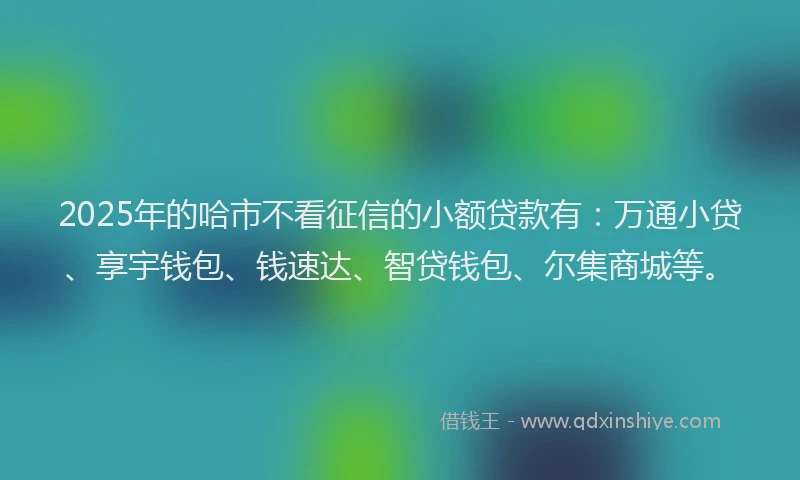 2025年的哈市不看征信的小额贷款有：万通小贷、享宇钱包、钱速达、智贷钱包、尔集商城等。