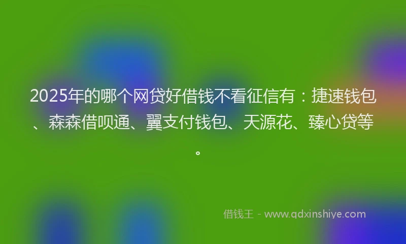2025年的哪个网贷好借钱不看征信有：捷速钱包、森森借呗通、翼支付钱包、天源花、臻心贷等。