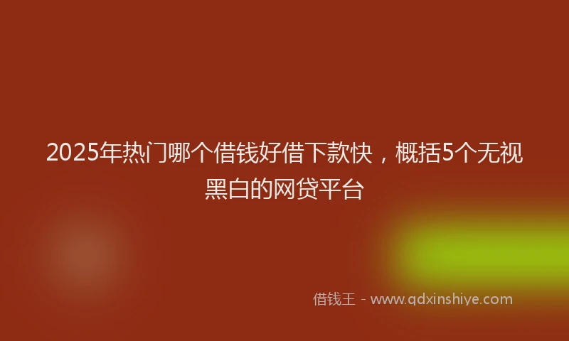 2025年热门哪个借钱好借下款快，概括5个无视黑白的网贷平台