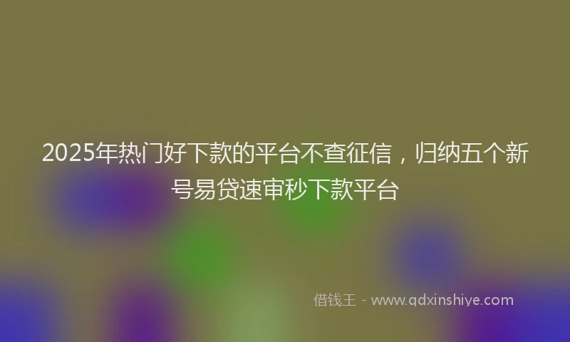 2025年热门好下款的平台不查征信，归纳五个新号易贷速审秒下款平台