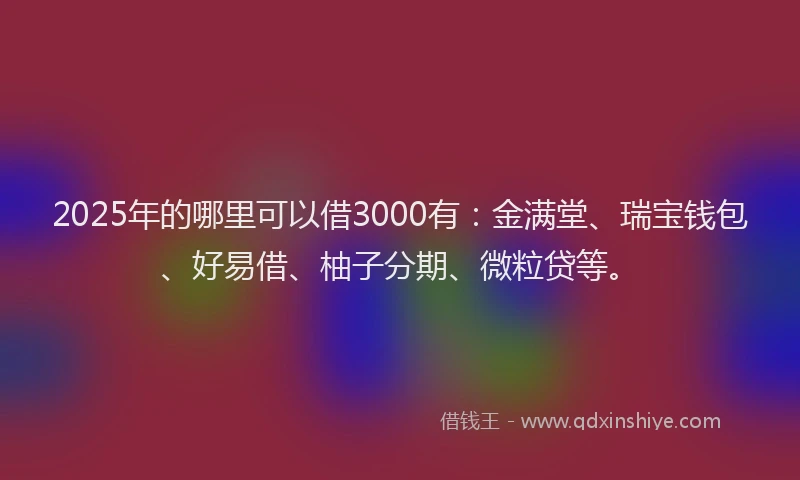 2025年的哪里可以借3000有：金满堂、瑞宝钱包、好易借、柚子分期、微粒贷等。