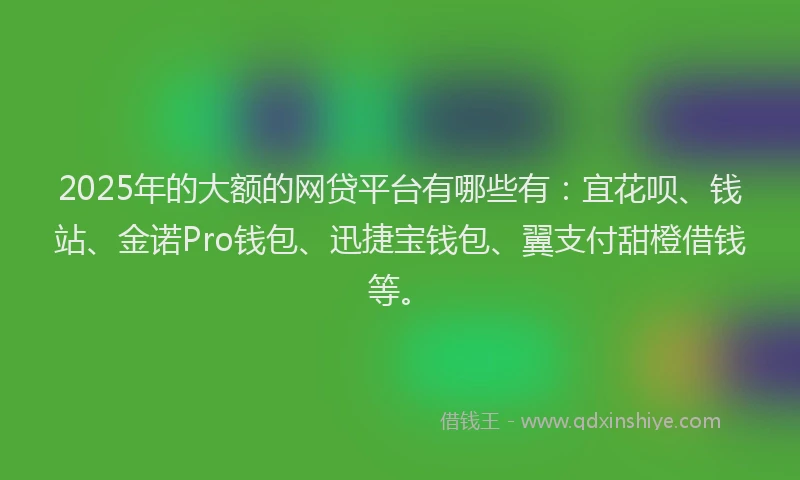 2025年的大额的网贷平台有哪些有：宜花呗、钱站、金诺Pro钱包、迅捷宝钱包、翼支付甜橙借钱等。