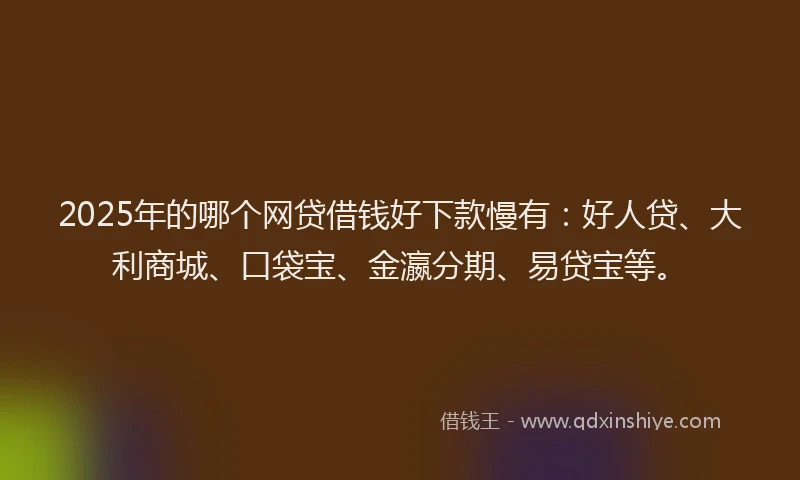 2025年的哪个网贷借钱好下款慢有：好人贷、大利商城、口袋宝、金瀛分期、易贷宝等。