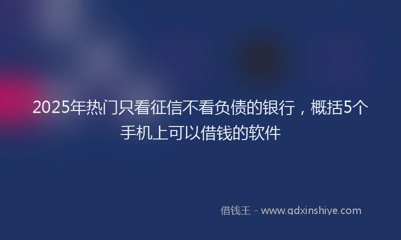 2025年热门只看征信不看负债的银行，概括5个手机上可以借钱的软件