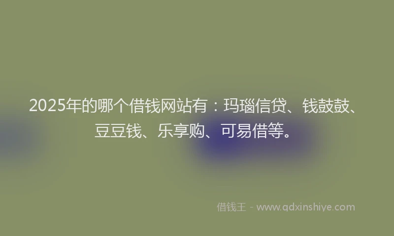 2025年的哪个借钱网站有：玛瑙信贷、钱鼓鼓、豆豆钱、乐享购、可易借等。