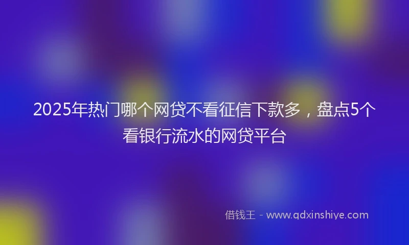 2025年热门哪个网贷不看征信下款多，盘点5个看银行流水的网贷平台