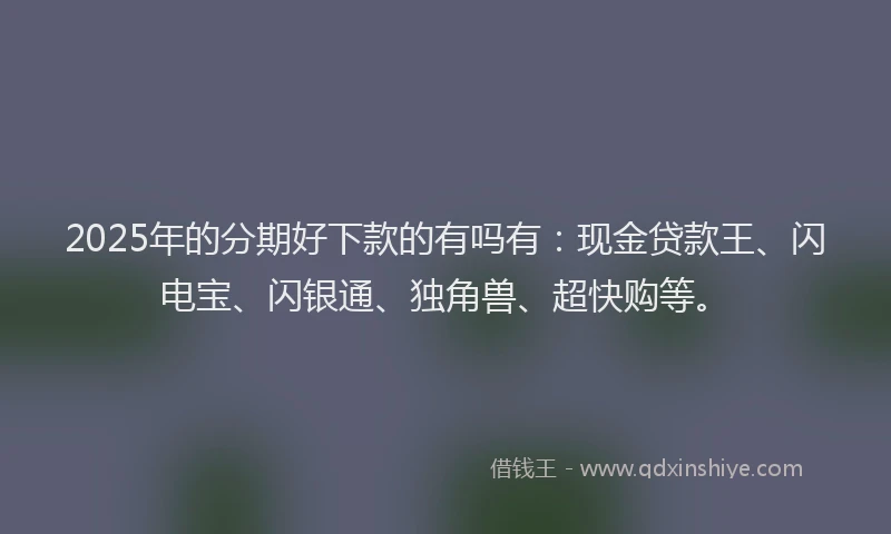 2025年的分期好下款的有吗有：现金贷款王、闪电宝、闪银通、独角兽、超快购等。