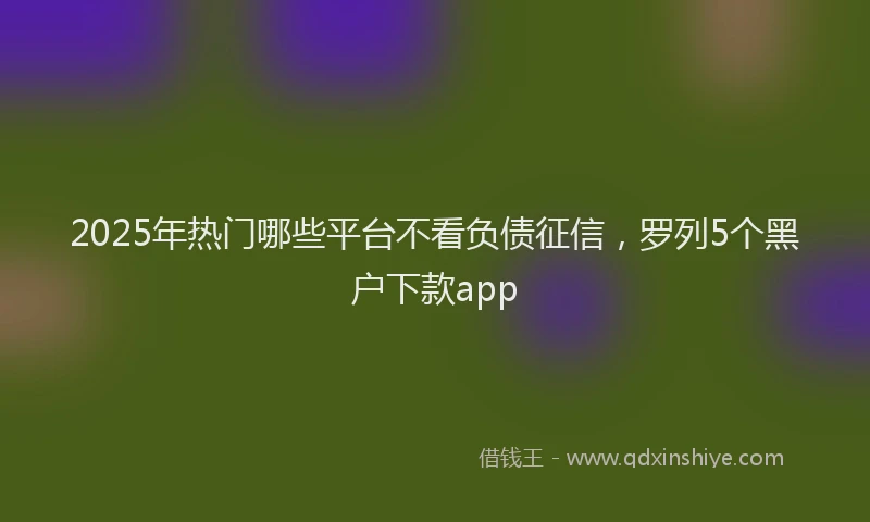 2025年热门哪些平台不看负债征信，罗列5个黑户下款app