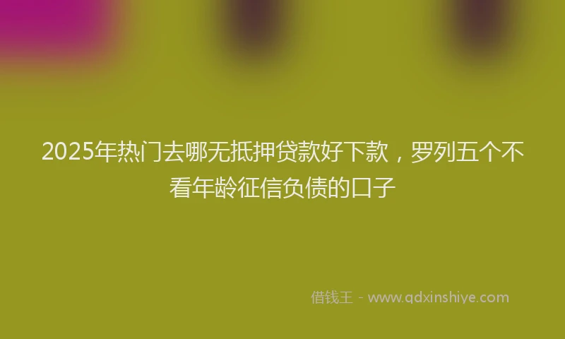 2025年热门去哪无抵押贷款好下款，罗列五个不看年龄征信负债的口子