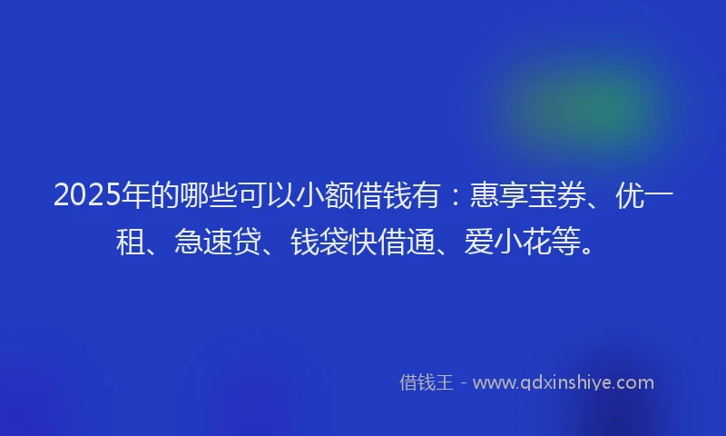 2025年的哪些可以小额借钱有：惠享宝券、优一租、急速贷、钱袋快借通、爱小花等。
