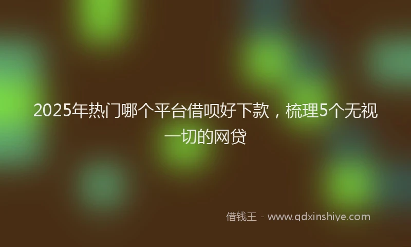 2025年热门哪个平台借呗好下款，梳理5个无视一切的网贷