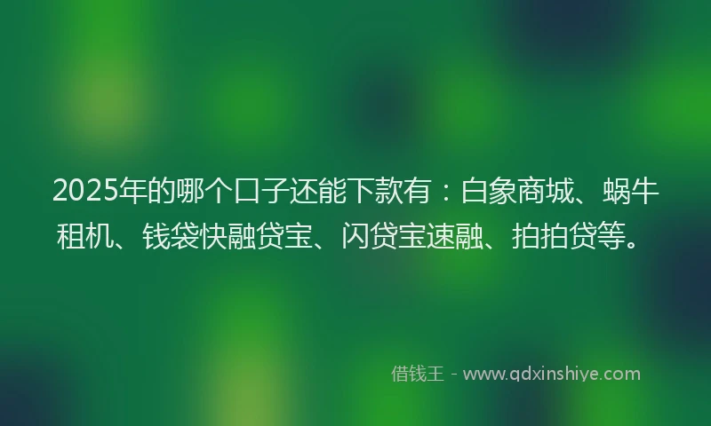 2025年的哪个口子还能下款有：白象商城、蜗牛租机、钱袋快融贷宝、闪贷宝速融、拍拍贷等。