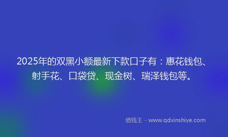 2025年的双黑小额最新下款口子有：惠花钱包、射手花、口袋贷、现金树、瑞泽钱包等。
