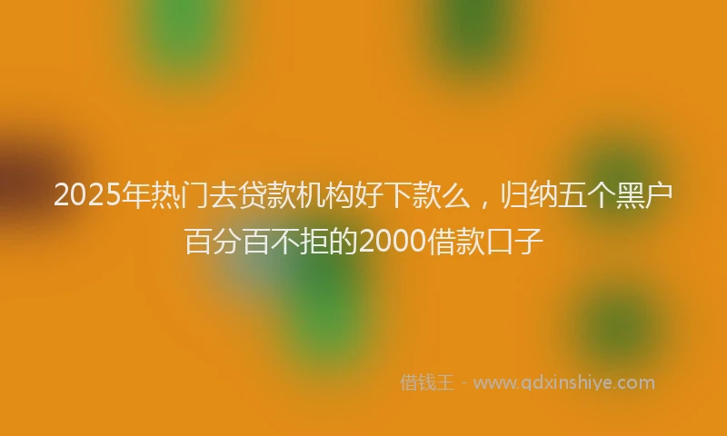 2025年热门去贷款机构好下款么，归纳五个黑户百分百不拒的2000借款口子