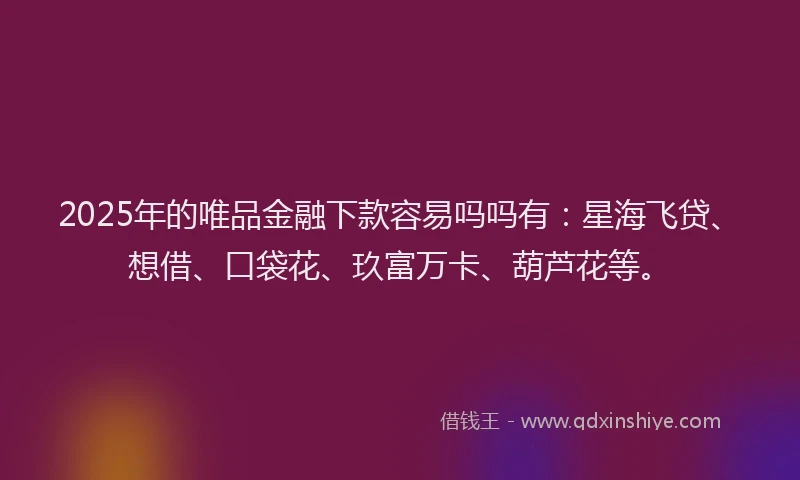 2025年的唯品金融下款容易吗吗有：星海飞贷、想借、口袋花、玖富万卡、葫芦花等。