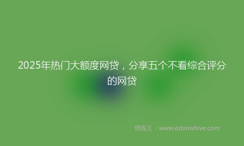 2025年热门大额度网贷，分享五个不看综合评分的网贷