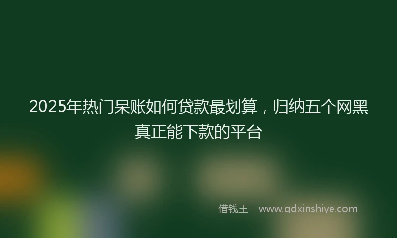 2025年热门呆账如何贷款最划算，归纳五个网黑真正能下款的平台