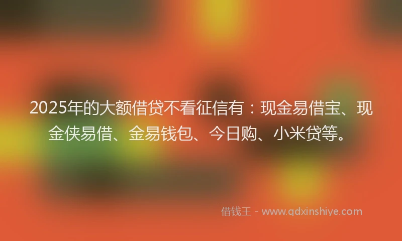 2025年的大额借贷不看征信有：现金易借宝、现金侠易借、金易钱包、今日购、小米贷等。