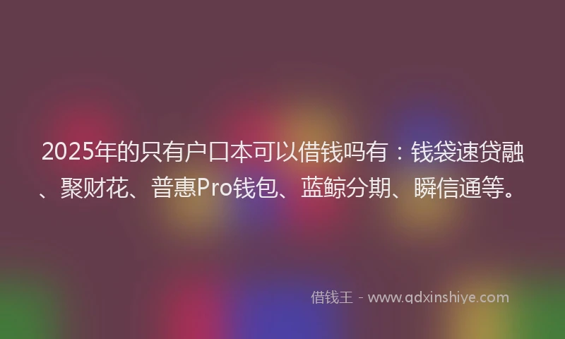 2025年的只有户口本可以借钱吗有：钱袋速贷融、聚财花、普惠Pro钱包、蓝鲸分期、瞬信通等。