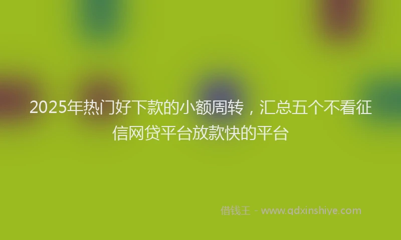 2025年热门好下款的小额周转，汇总五个不看征信网贷平台放款快的平台