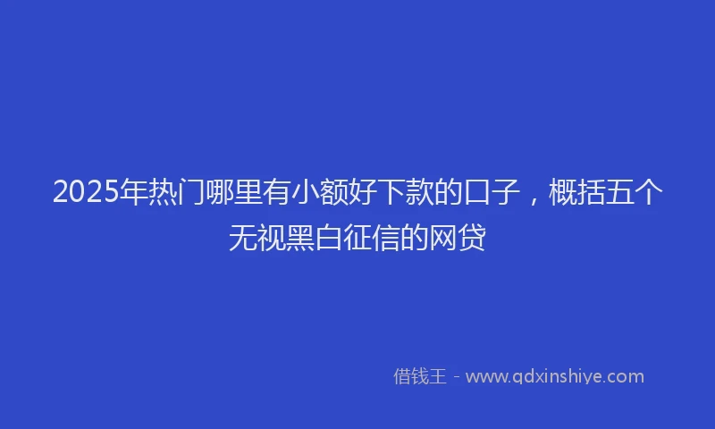 2025年热门哪里有小额好下款的口子，概括五个无视黑白征信的网贷
