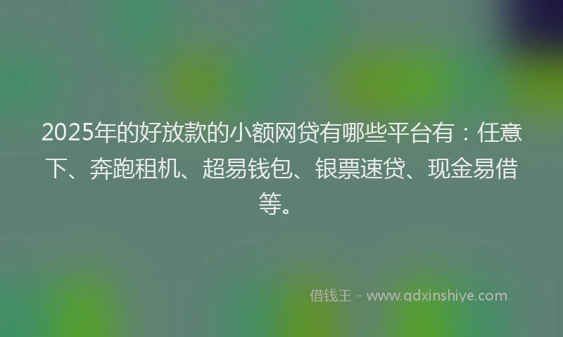 2025年的好放款的小额网贷有哪些平台有：任意下、奔跑租机、超易钱包、银票速贷、现金易借等。