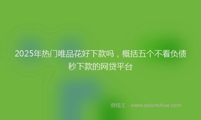 2025年热门唯品花好下款吗，概括五个不看负债秒下款的网贷平台