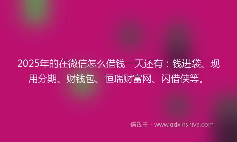 2025年的在微信怎么借钱一天还有：钱进袋、现用分期、财钱包、恒瑞财富网、闪借侠等。