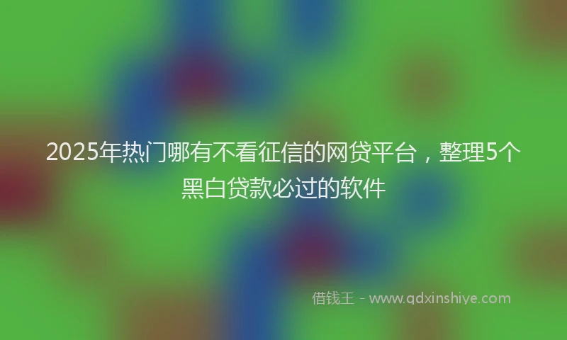 2025年热门哪有不看征信的网贷平台，整理5个黑白贷款必过的软件