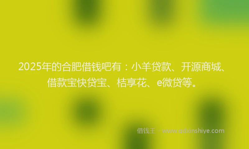 2025年的合肥借钱吧有：小羊贷款、开源商城、借款宝快贷宝、桔享花、e微贷等。