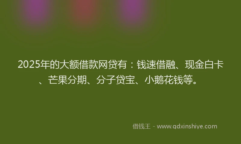 2025年的大额借款网贷有：钱速借融、现金白卡、芒果分期、分子贷宝、小鹅花钱等。