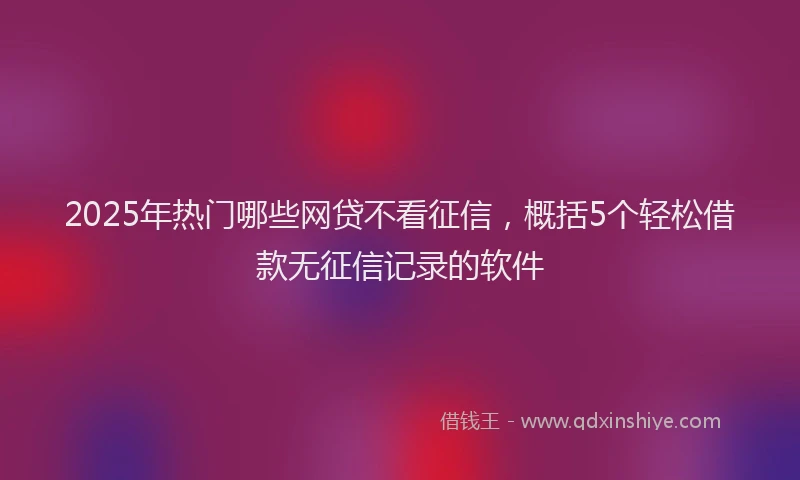 2025年热门哪些网贷不看征信，概括5个轻松借款无征信记录的软件