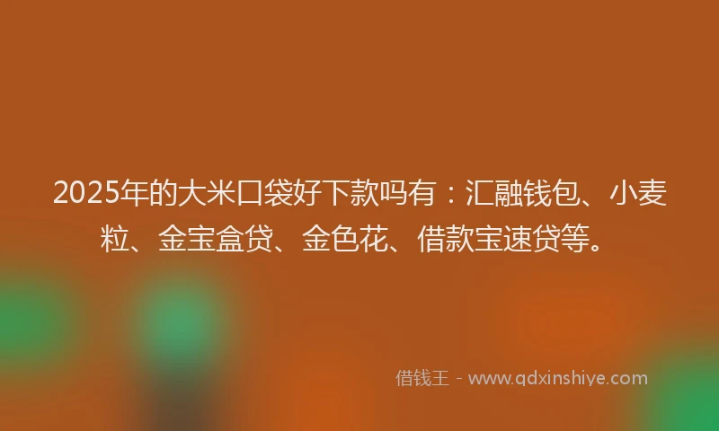 2025年的大米口袋好下款吗有：汇融钱包、小麦粒、金宝盒贷、金色花、借款宝速贷等。