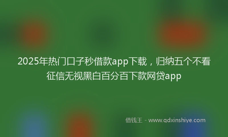 2025年热门口子秒借款app下载，归纳五个不看征信无视黑白百分百下款网贷app